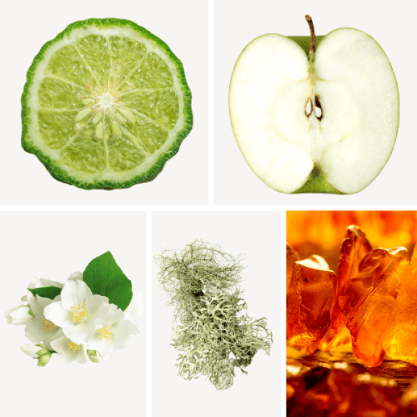 Duftnoten: Bergamotte, Apfel, Jasmin, Eichenmoos, Ambra